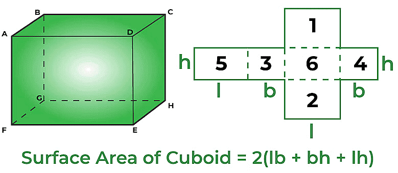 Facts that Matter: Surface Areas & Volumes | Mathematics (Maths) Class 10