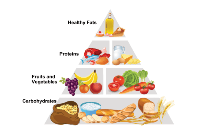 NCERT Summary: Components of Food | Class 6 All Subjects (Old NCERT)