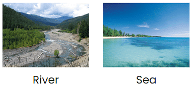 A River`s Tale Class 4 Notes EVS Chapter 13