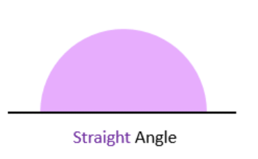 Understanding Elementary Shapes Class 6 Notes Maths Chapter 5