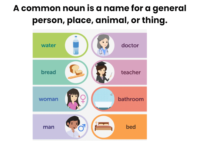 Nouns | English Grammar for Class 6