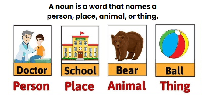 Nouns | English Grammar for Class 6
