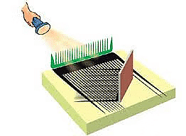 Light, Shadows and Reflections Class 6 Notes Science Chapter 8