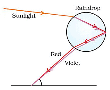 Human Eye and Colourful World Class 10 Notes Science Chapter 10