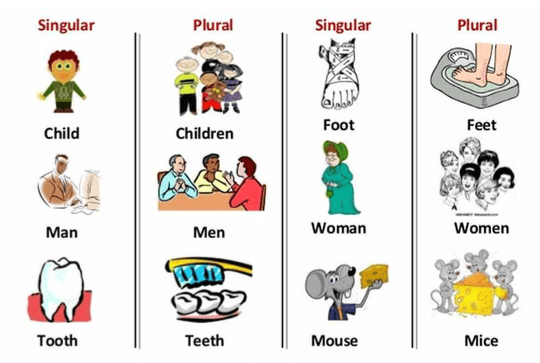 Nouns | English Grammar for Class 6