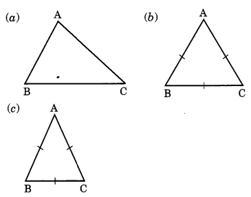 Understanding Elementary Shapes Class 6 Notes Maths Chapter 5