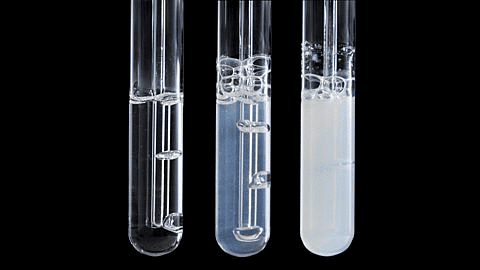 NCERT Exemplar: Chemical Reactions & Equations | Science Class 10