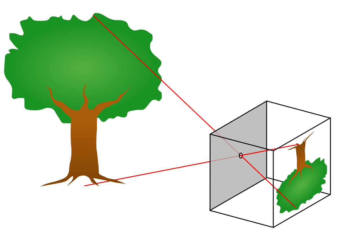 Light Shadow and Reflections Class 6 Worksheet Science