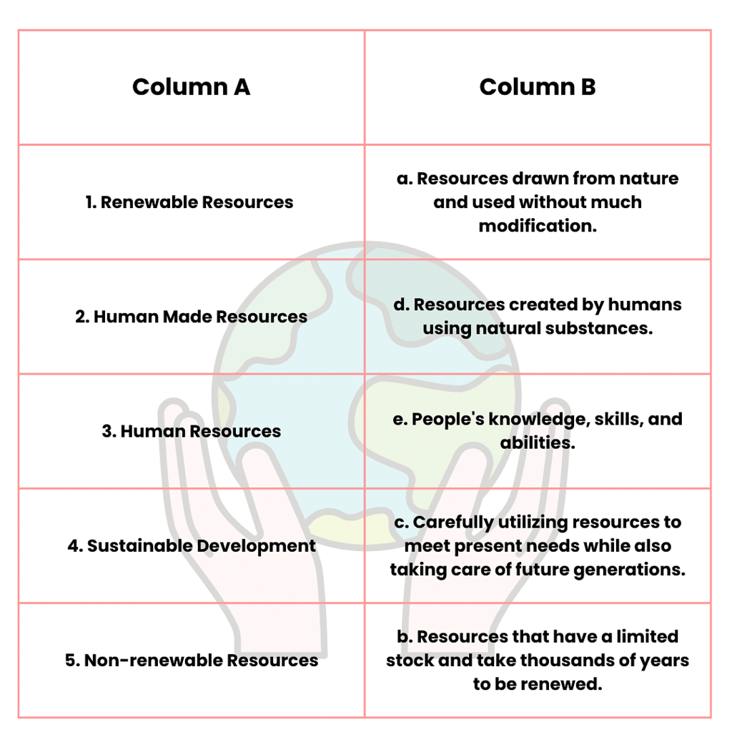 Resources Class 8 Worksheet Geography Chapter 1