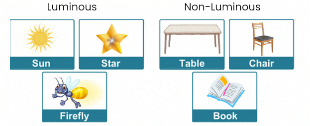 Light, Shadows and Reflections Class 6 Notes Science Chapter 8