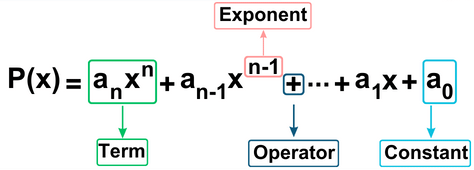 Polynomials Class 9 Notes Maths Chapter 2