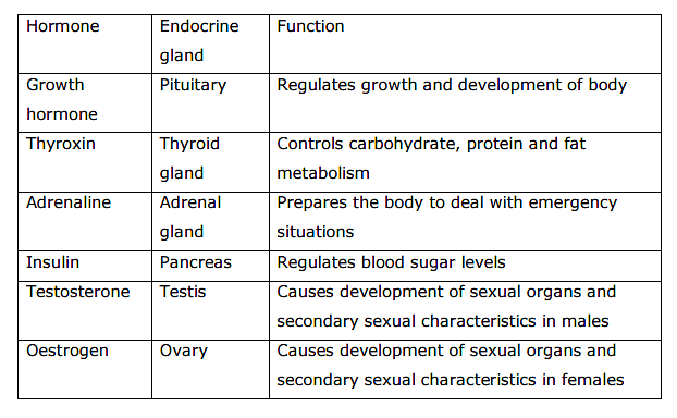 Control and Coordination Class 10 Notes Science Chapter 6