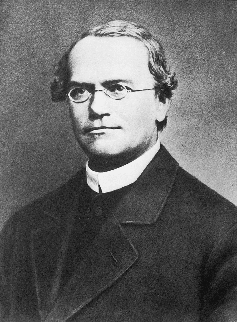 Mendel`s Contributions | Science Class 10