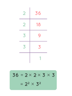 Playing with Numbers Class 6 Notes Maths