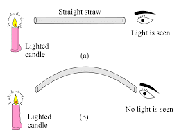 Light, Shadows and Reflections Class 6 Notes Science Chapter 8