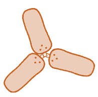 NCERT Solutions for Class 5 Maths - Parts and Wholes
