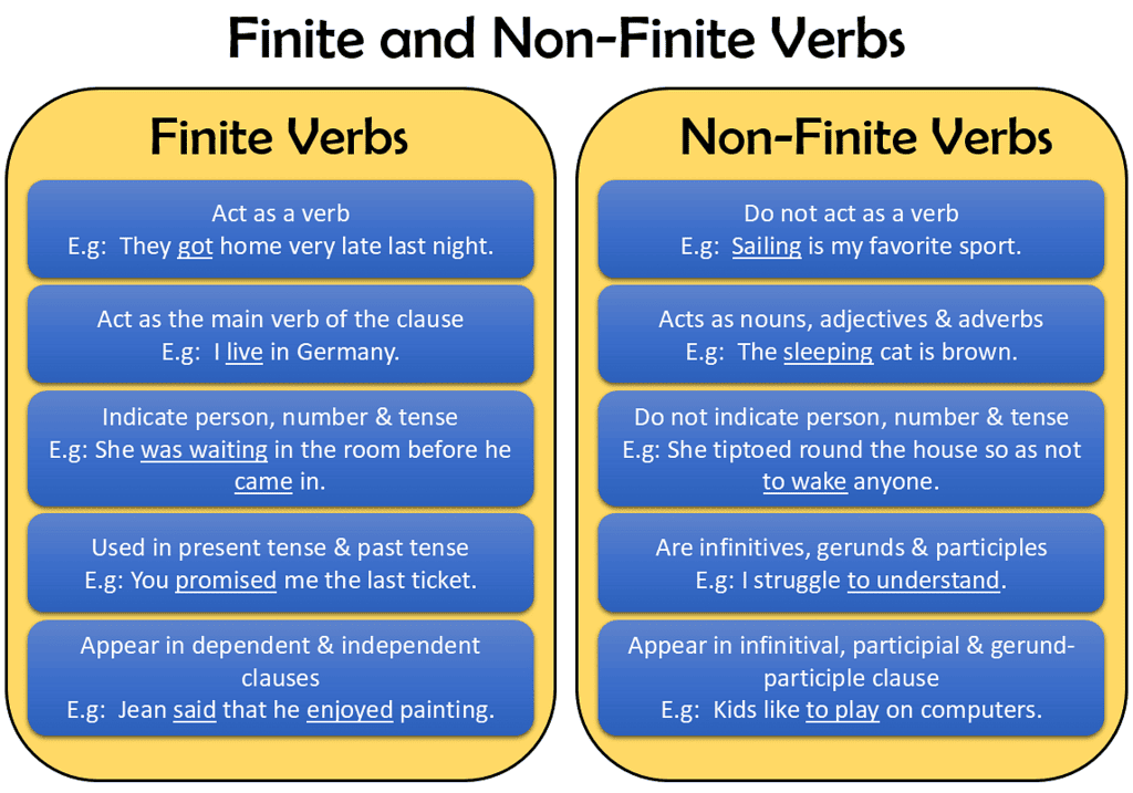 Key Notes: Verb | English Grammar Basic - Class 10