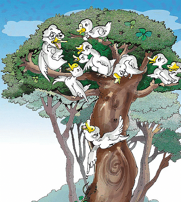 NCERT Solutions for Class 5 English Marigold - Flying Together