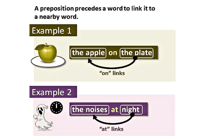 The Preposition | English Grammar for Class 6