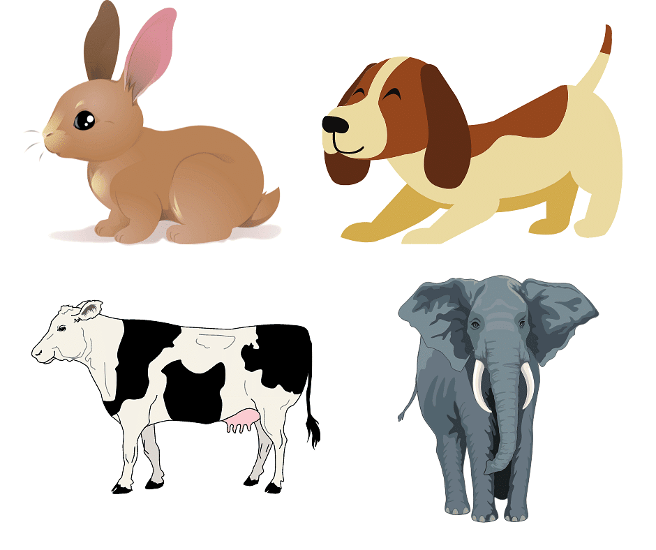 NCERT Solutions for Class 5 EVS Chapter 1 - Super Senses