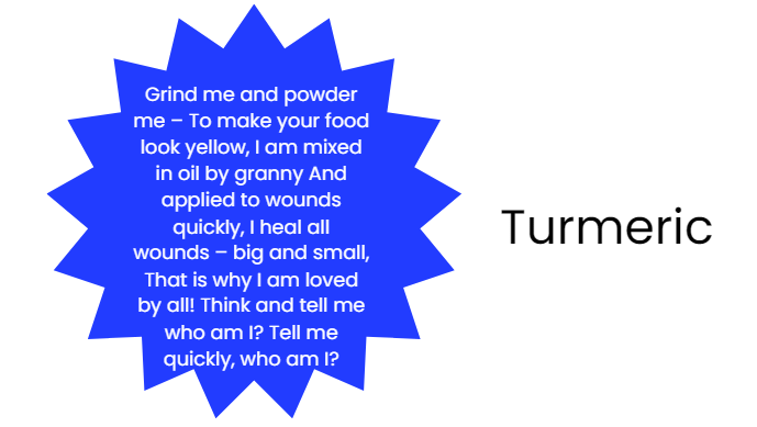 Spicy Riddles Class 4 Notes EVS Chapter 25