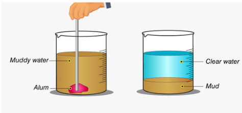 Separation of Substances Class 6 Worksheet Science Chapter 3