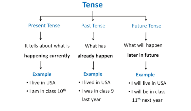 Tenses | English Grammar for Class 6