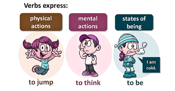 The Verb | English Grammar for Class 6