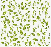 Worksheet Solutions: The Plant Fairy - 1 | EVS for Class 3