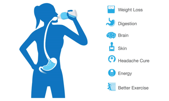 Importance of Water in Our Body