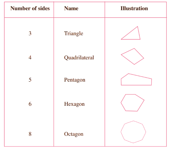 Understanding Elementary Shapes Class 6 Notes Maths Chapter 5