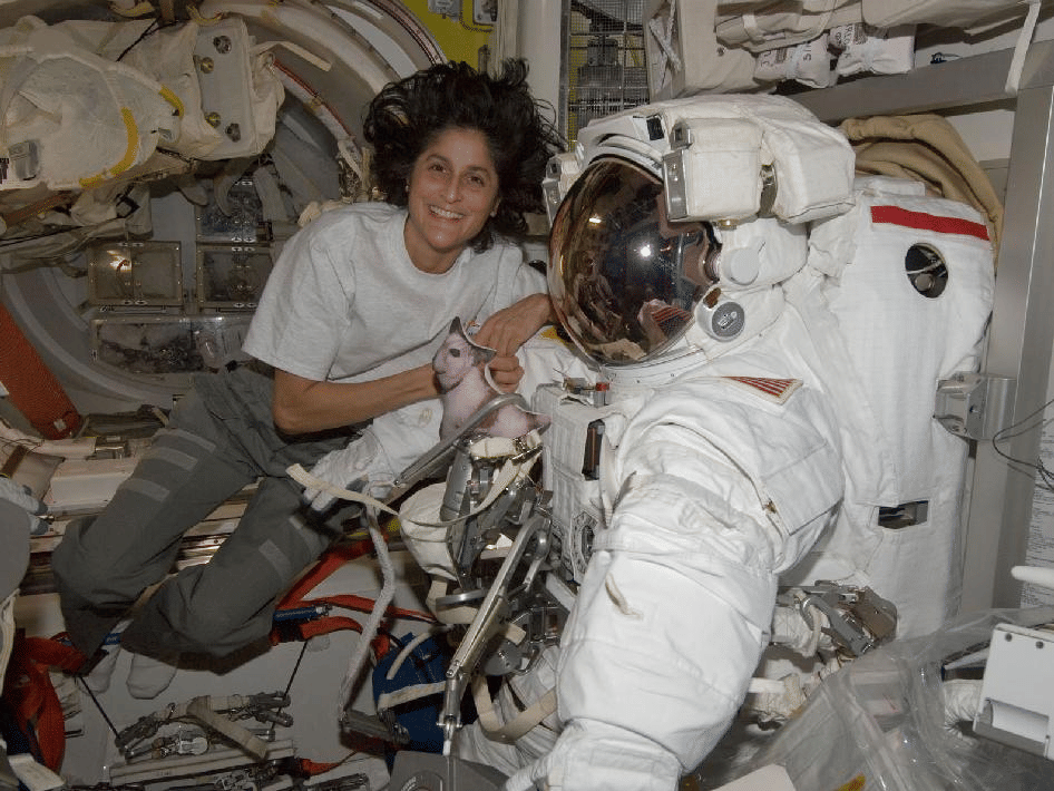 Sunita in Space - 1 Class 5 Worksheet EVS Chapter 11