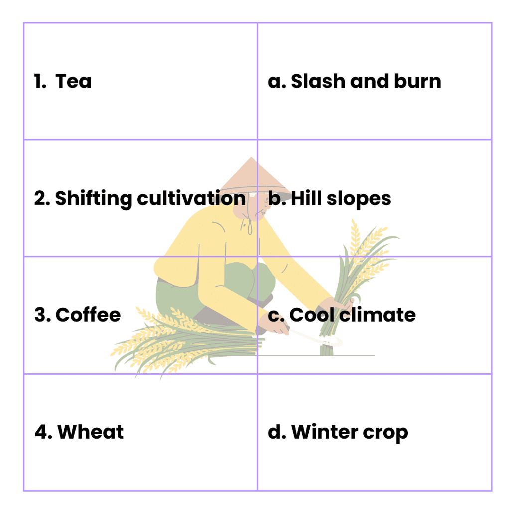 Class 8 Social Science Agriculture CBSE Worksheets