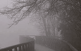 Fog Summary Class 10 English First Flight Chapter 8