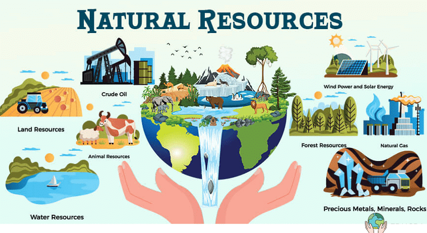 Resources Class 8 Worksheet Geography Chapter 1