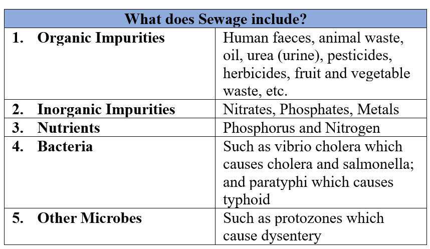 Wastewater story Class 7 Notes Science Chapter 13