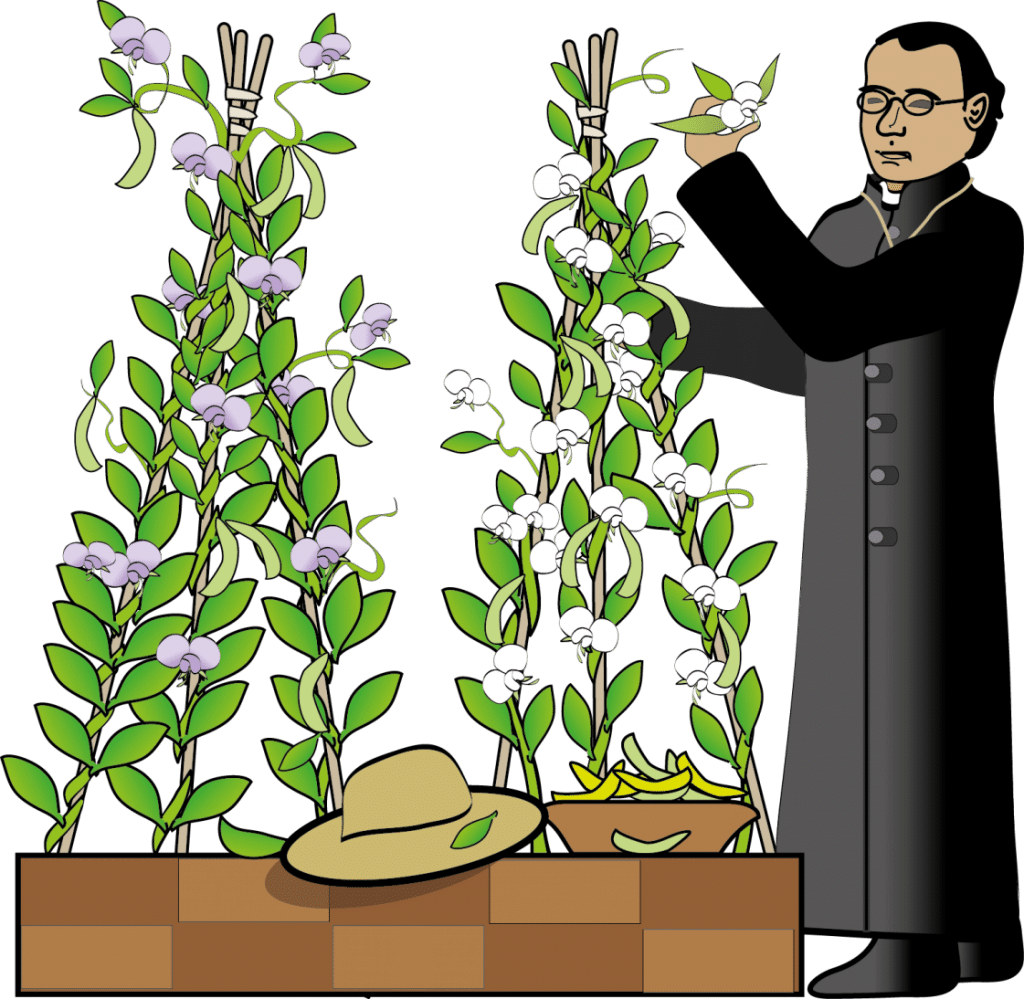 Heredity and Evolution Class 10 Notes Science Chapter 8