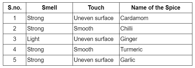 Spicy Riddles Class 4 Notes EVS Chapter 25