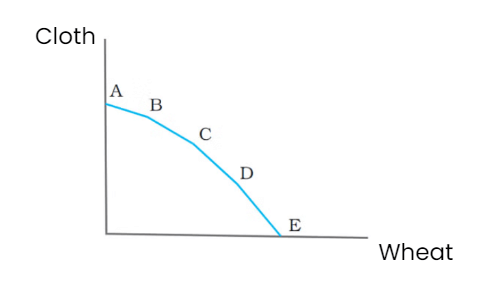 Introduction to Micro Economics Class 12 Economics