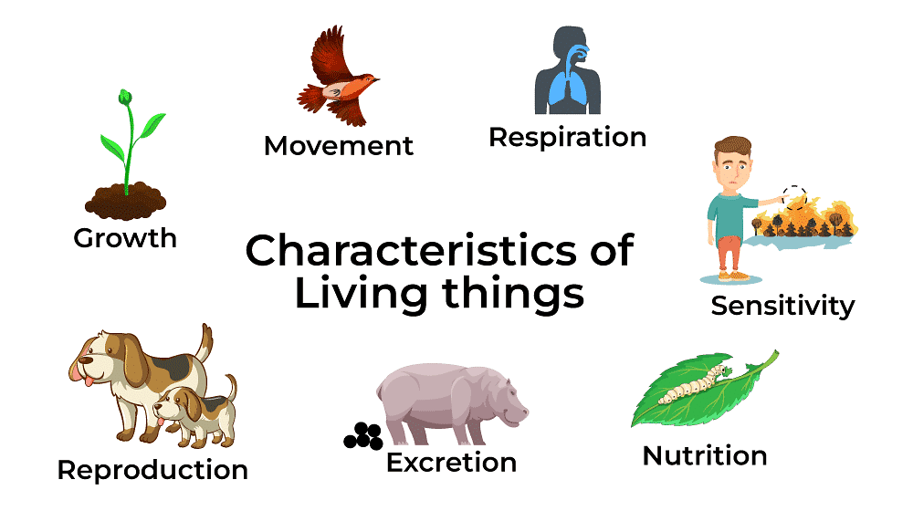 Living Things Class 5 Notes Science