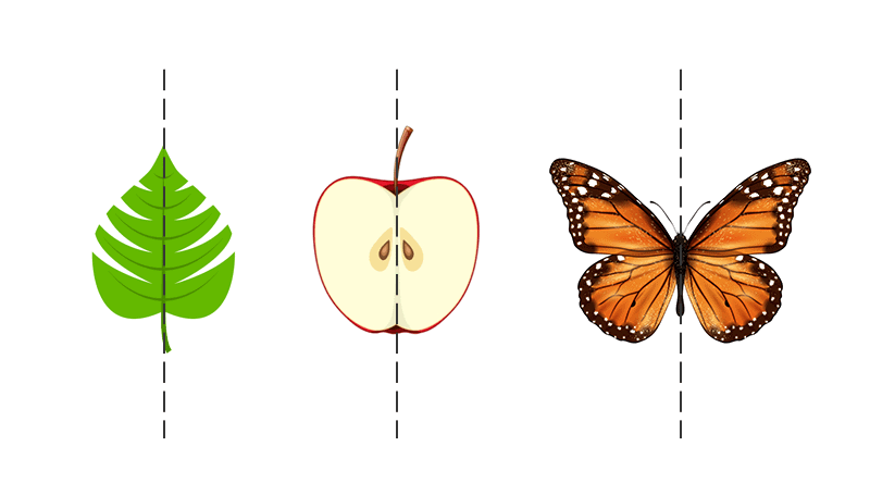 Symmetry Class 7 Notes Maths Chapter 12