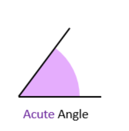 Understanding Elementary Shapes Class 6 Notes Maths Chapter 5