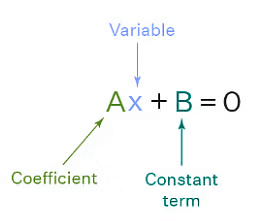 Linear Equations in One Variable | The Complete SAT Course - Class 10