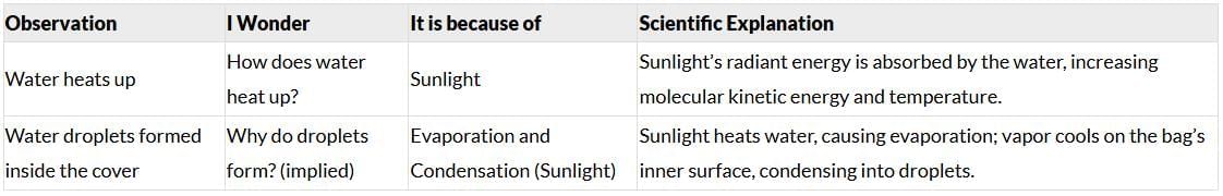 Water—The Essence of Life NCERT Solutions | Our Wondrous World  Class 5 - New NCERT