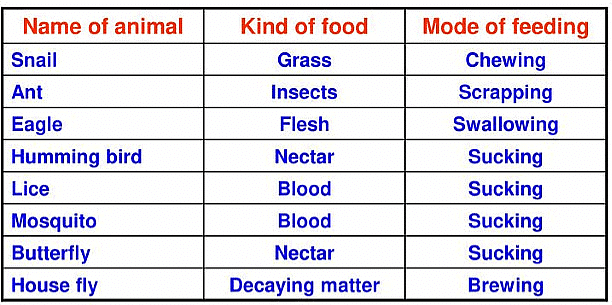 Examples of food ingestion