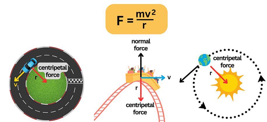 Important Points: Gravitation | Science Class 9