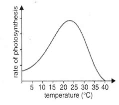 Nutrition in Plants Class 7 Notes Science Chapter 1