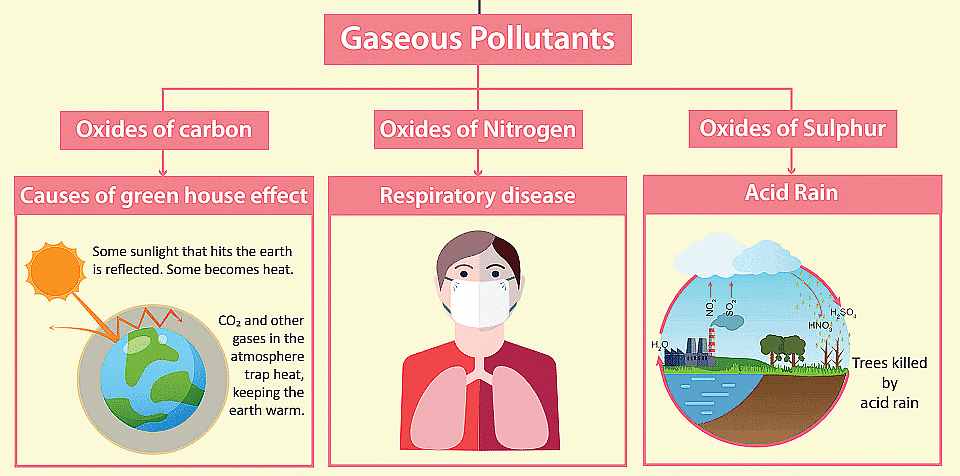 Air Pollution: Causes & Effects | Biology for JAMB