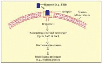 NCERT Exemplars: Chemical Coordination & Integration | Biology Class 11 - NEET