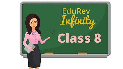 What do you get under EduRev Infinity for Class 8?